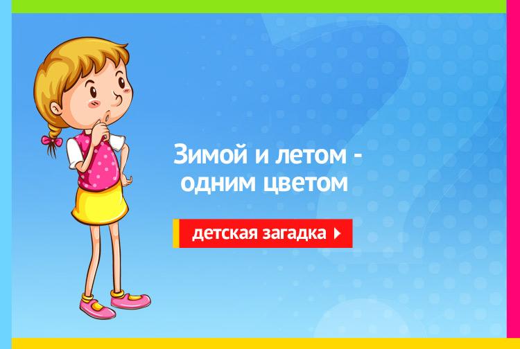 Отгадаешь загадку зимой и летом 1 цветом
