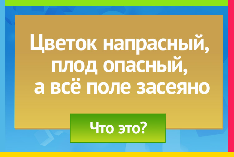 Цветок напрасный, плод опасный, а всё поле засеяно 