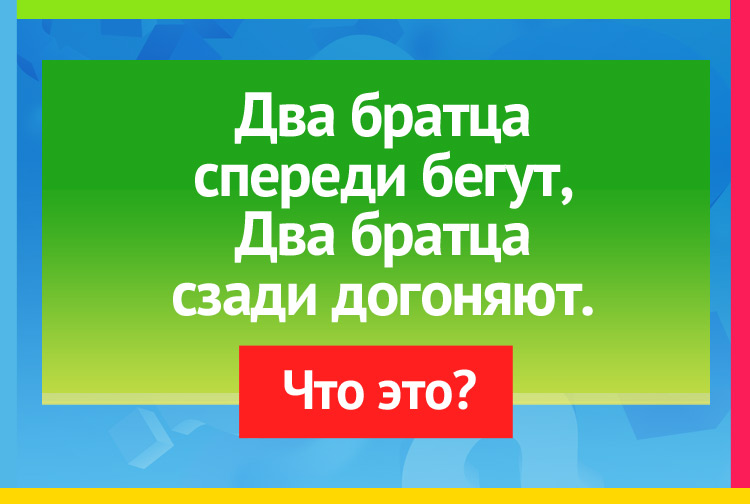 Два братца спереди бегут, Два братца сзади догоняют.