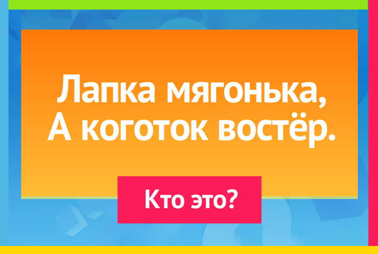 Лапка мягонька, А коготок востёр.