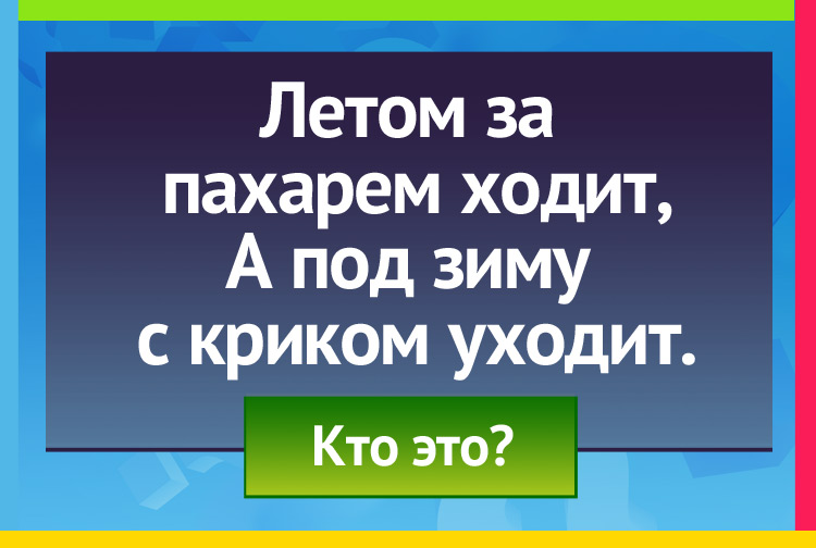Летом за пахарем ходит, А под зиму с криком уходит.
