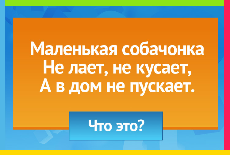 Маленькая собачонка Не лает, не кусает, А в дом не пускает.
