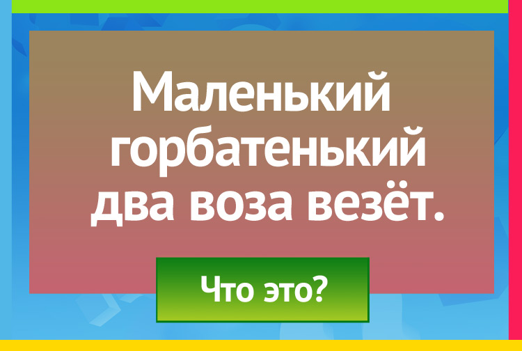 Маленький горбатенький Два воза везёт.