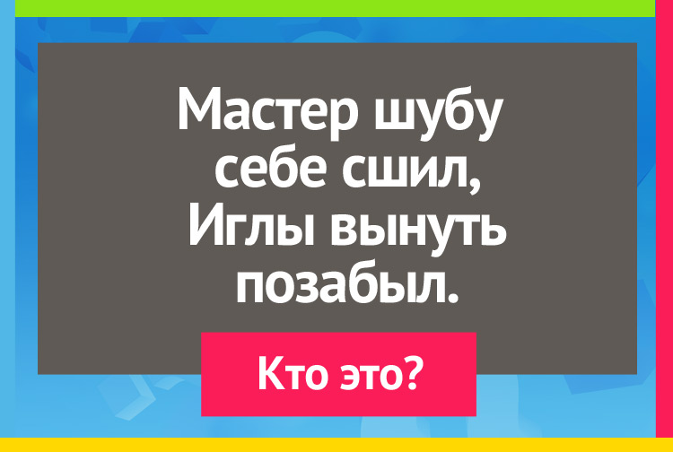 Мастер шубу себе сшил, Иглы вынуть позабыл.