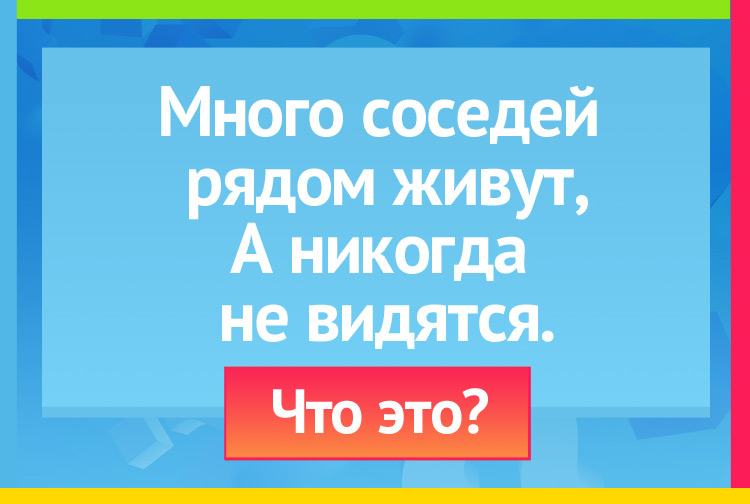 Много соседей рядом живут, А никогда не видятся.