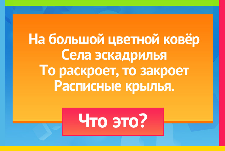 На большой цветной ковёр Села эскадрилья. То раскроет, то закроет Расписные крылья.