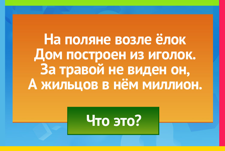 На поляне возле ёлок Дом построен из иголок. За травой не виден он, А жильцов в нём миллион.