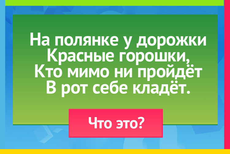 На полянке у дорожки Красные горошки, Кто мимо ни пройдёт В рот себе кладёт.