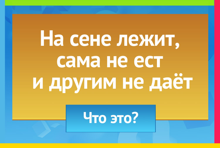 На сене лежит, Сама не ест И другим не даёт.