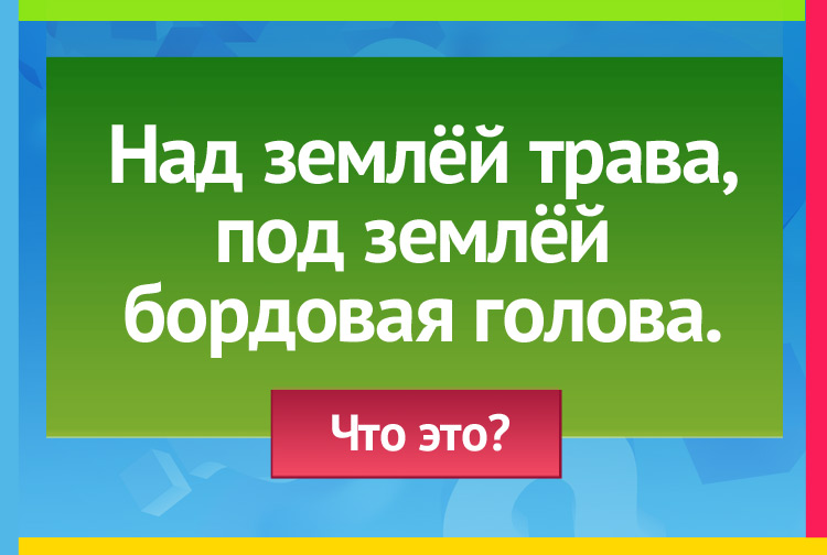 Над землей трава, Под землей Бордовая голова.