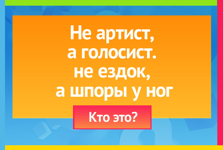 Не артист, а голосист. Не ездок, а шпоры у ног.