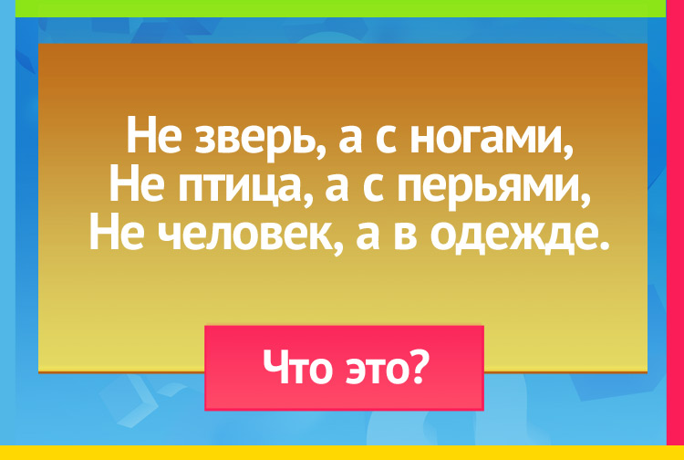 Не зверь, а с ногами, Не птица, а с перьями, Не человек, а в одежде. 