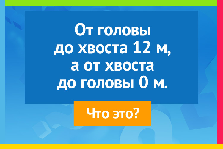 От головы до хвоста 12 м, а от хвоста до головы 0 м