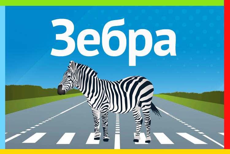 Зебра на зебре