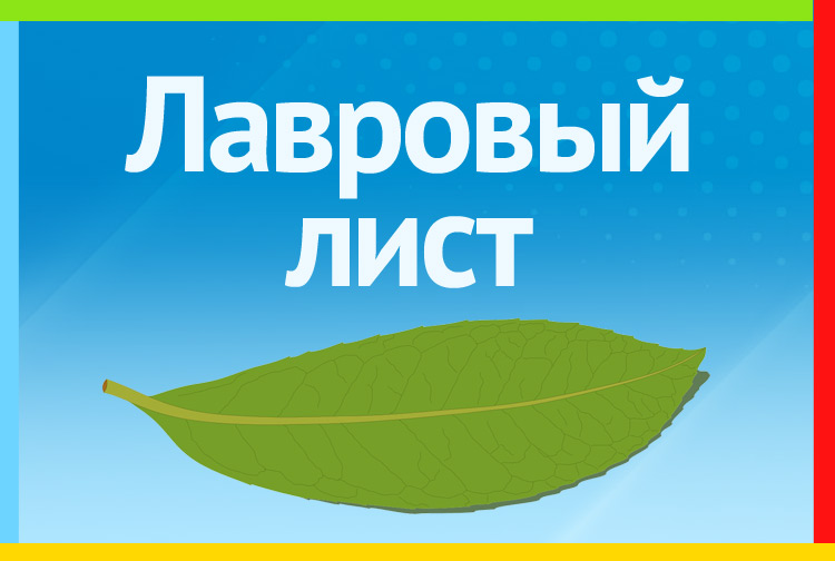 Лавровый лист