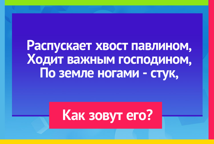 Распускает хвост павлином, Ходит важным господином, По земле ногами стук, Как зовут его?
