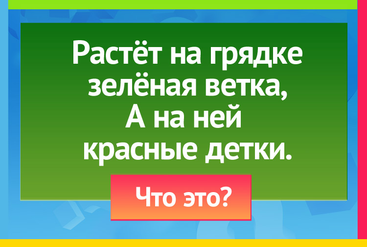 Растёт на грядке зелёная ветка, А на ней красные детки.